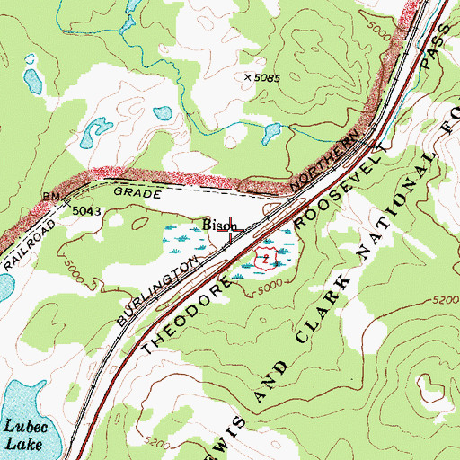 Topographic Map of Bison, MT