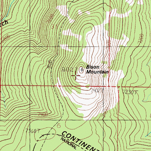 Topographic Map of Bison Mountain, MT