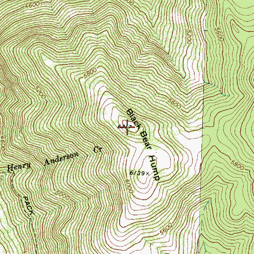 Topographic Map of Black Bear Hump, MT