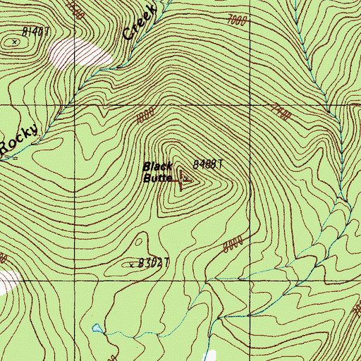 Topographic Map of Black Butte, MT