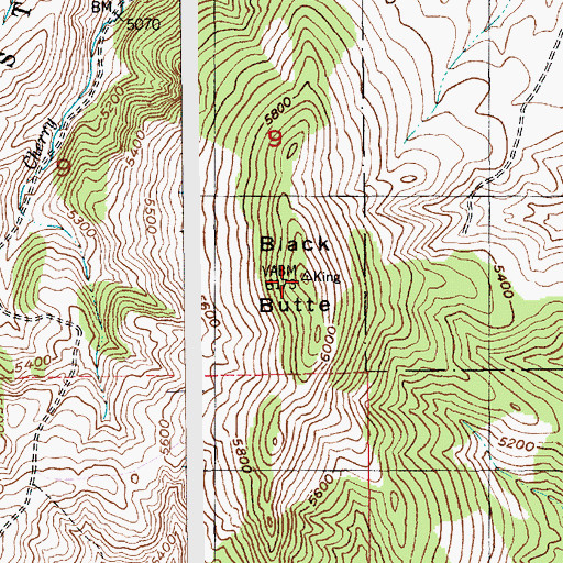 Topographic Map of Black Butte, MT