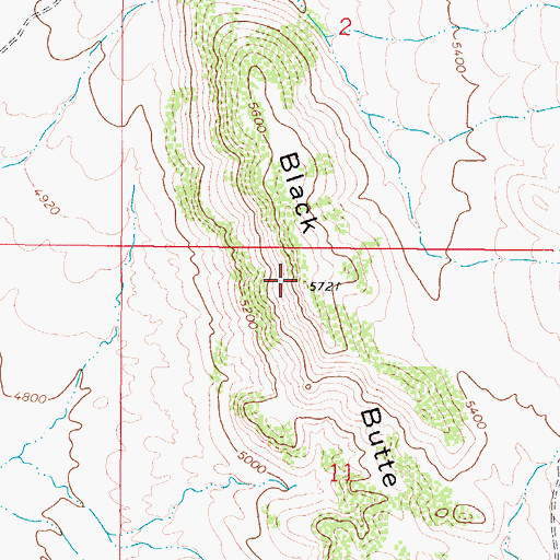 Topographic Map of Black Butte, MT