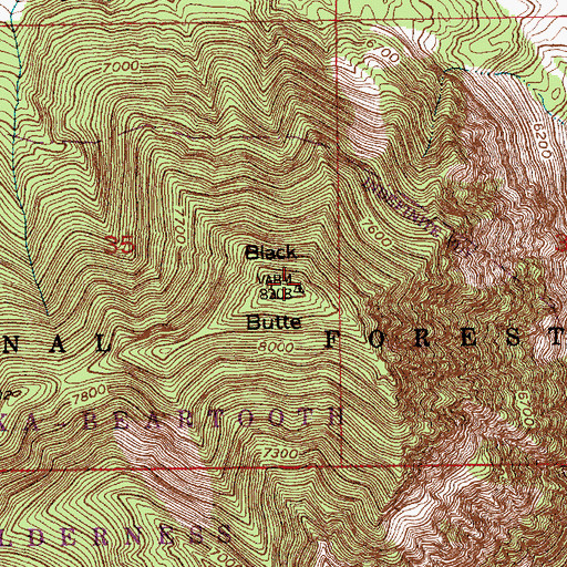 Topographic Map of Black Butte, MT