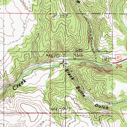 Topographic Map of Black Butte Gulch, MT