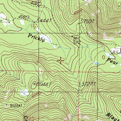 Topographic Map of Black Canyon, MT