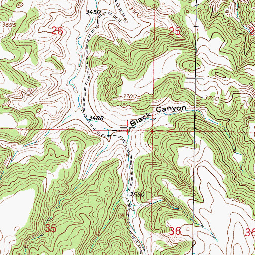 Topographic Map of Black Canyon, MT
