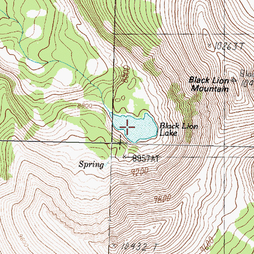 Topographic Map of Black Lion Lake, MT