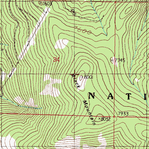 Topographic Map of Black Mountain, MT
