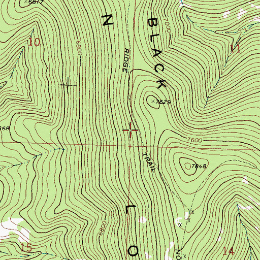 Topographic Map of Black Pine Ridge Trail Number 6, MT