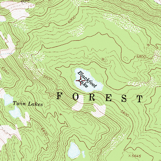 Topographic Map of Blackfoot Lake, MT