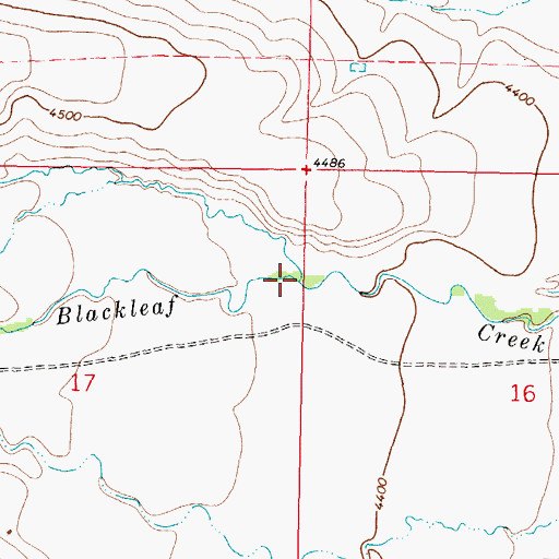 Topographic Map of Blackleaf Creek, MT