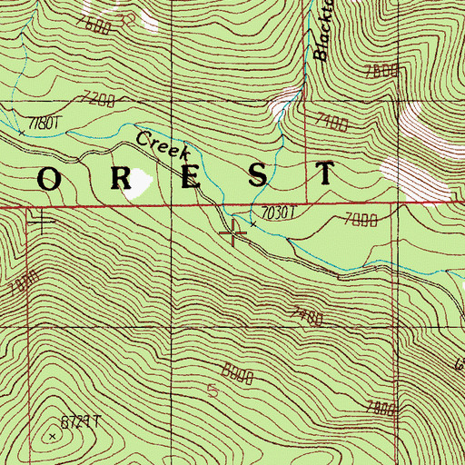 Topographic Map of Blacktail Creek, MT