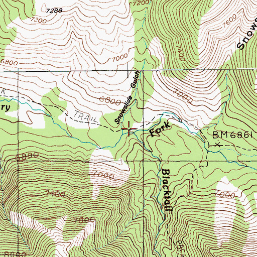 Topographic Map of Blacktail Creek, MT