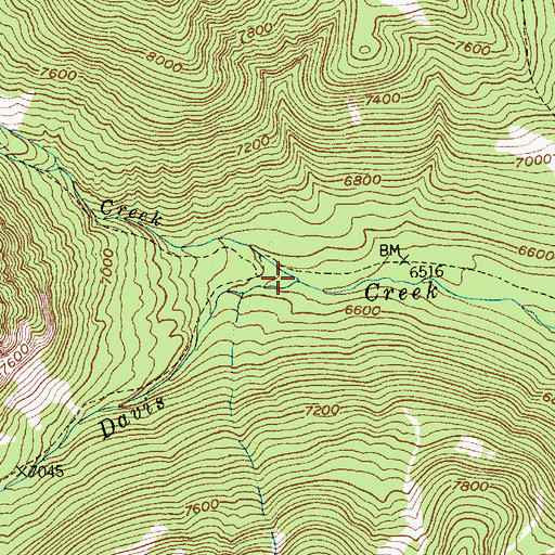 Topographic Map of Blacktail Creek, MT