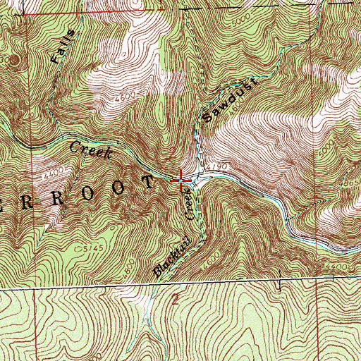 Topographic Map of Blacktail Creek, MT