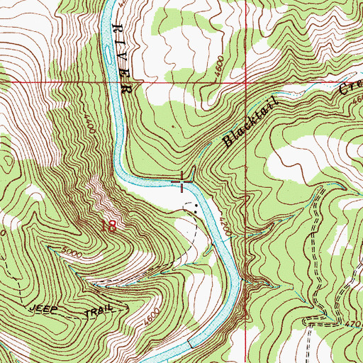 Topographic Map of Blacktail Creek, MT