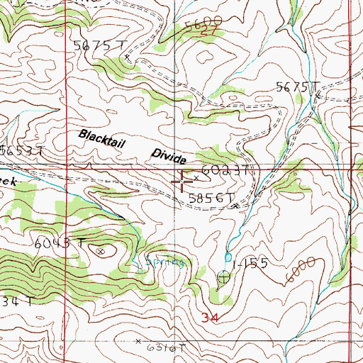 Topographic Map of Blacktail Divide, MT