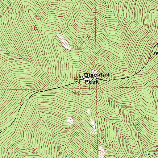 Topographic Map of Blacktail Peak, MT