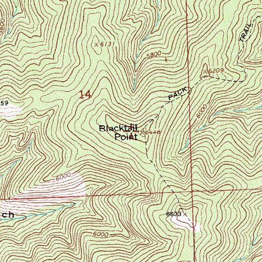Topographic Map of Blacktail Point, MT