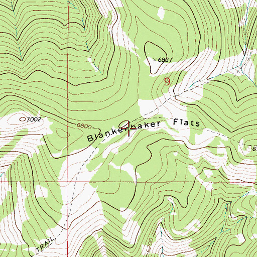 Topographic Map of Blankenbaker Flats, MT
