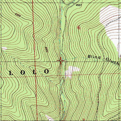 Topographic Map of Blind Gulch, MT
