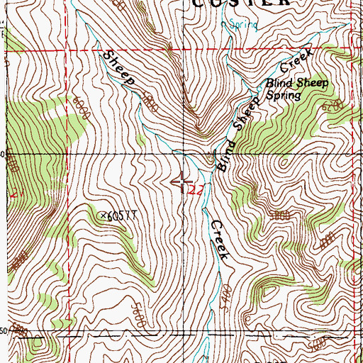 Topographic Map of Blind Sheep Creek, MT