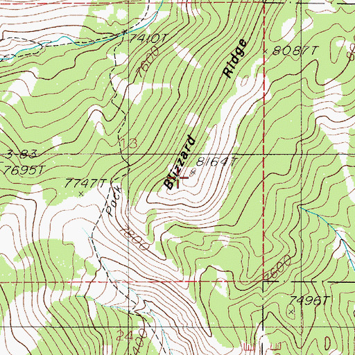 Topographic Map of Blizzard Ridge, MT