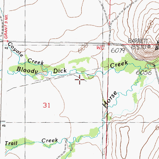 Topographic Map of Bloody Dick Creek, MT