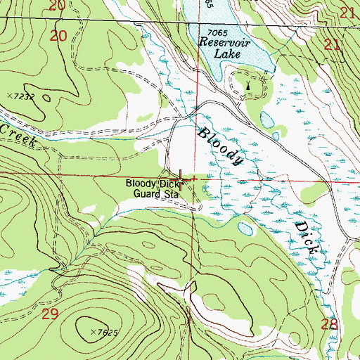 Topographic Map of Bloody Dick Guard Station, MT