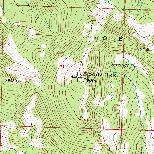 Topographic Map of Bloody Dick Peak, MT