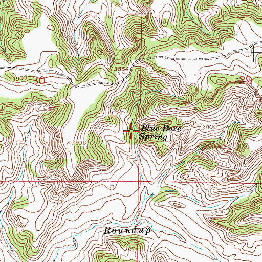 Topographic Map of Blue Bore Spring, MT