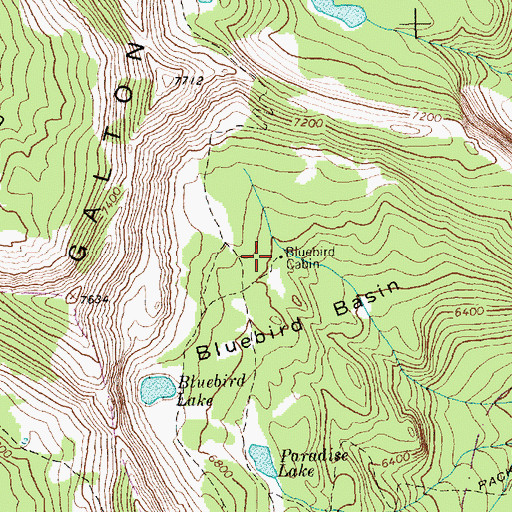 Topographic Map of Bluebird Cabin, MT
