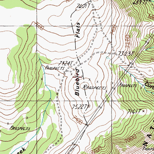 Topographic Map of Bluebird Flats, MT