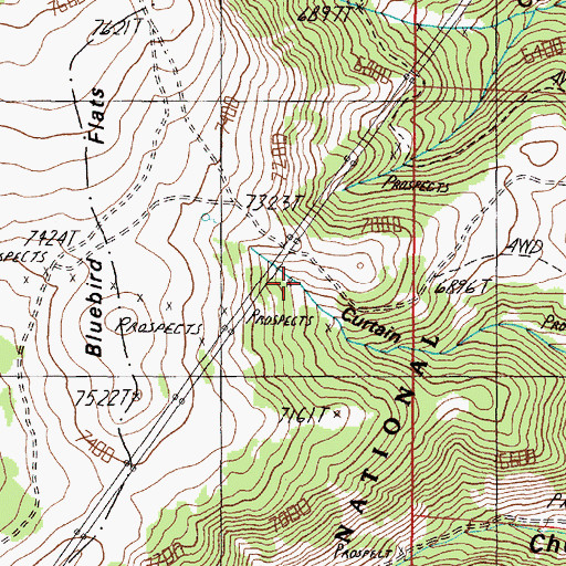 Topographic Map of Bluebird Mine, MT