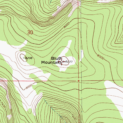 Topographic Map of Bluff Mountain, MT