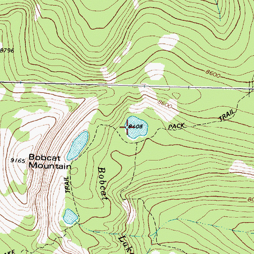 Topographic Map of Bobcat Lakes, MT