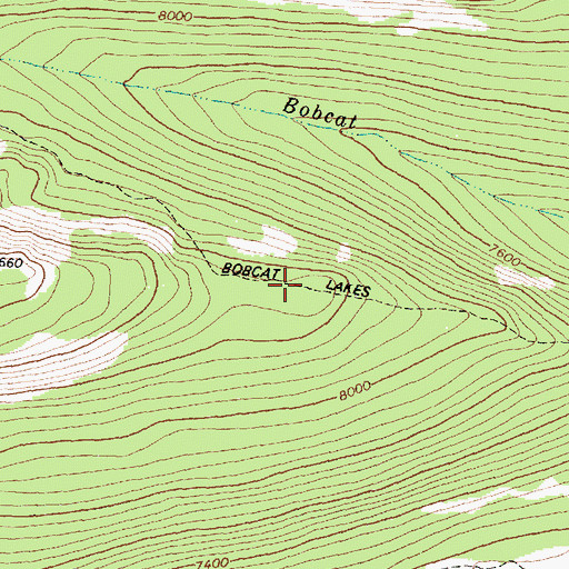 Topographic Map of Bobcat Lakes Trail, MT