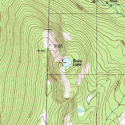 Topographic Map of Bobs Lake, MT