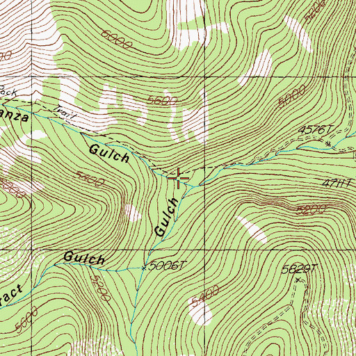 Topographic Map of Bonanza Gulch, MT