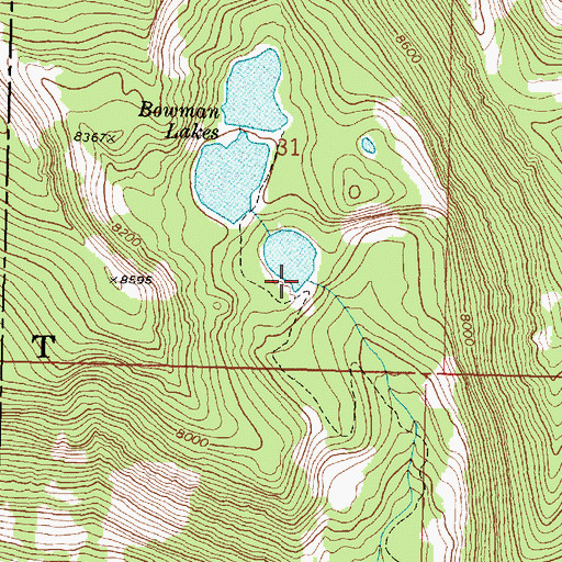 Topographic Map of Bowman Lakes, MT