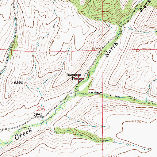 Topographic Map of Bowman Place, MT