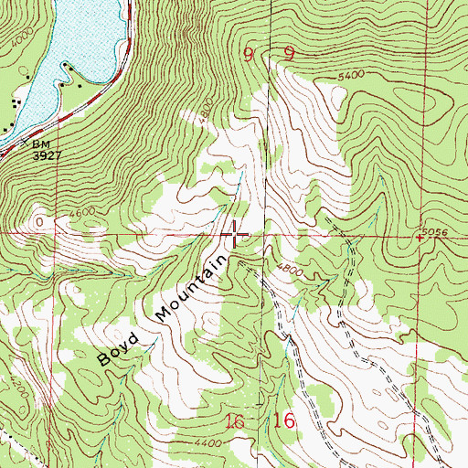 Topographic Map of Boyd Mountain, MT