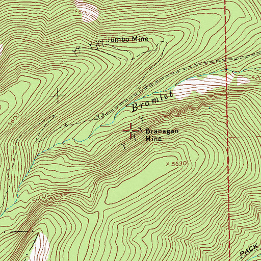 Topographic Map of Branagan Mine, MT