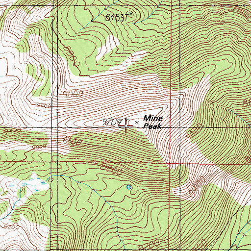 Topographic Map of Branham Peaks, MT