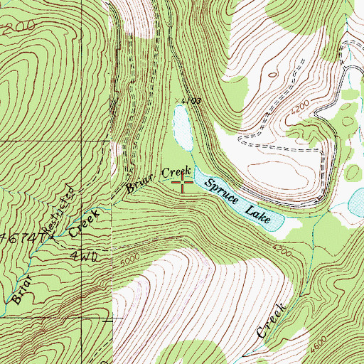 Topographic Map of Briar Creek, MT