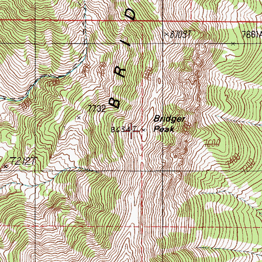 Topographic Map of Bridger Peak, MT