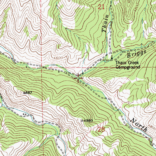 Topographic Map of Briggs Creek, MT