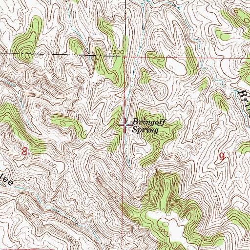 Topographic Map of Bringoff Spring, MT
