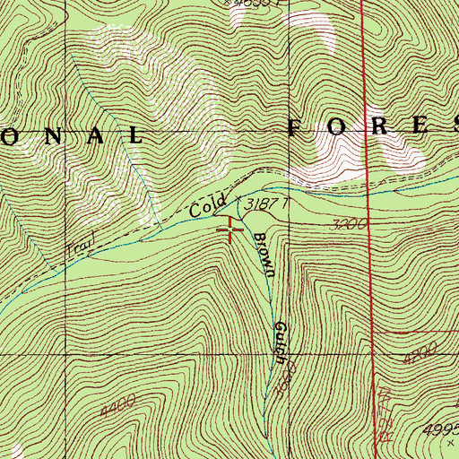 Topographic Map of Brown Gulch, MT