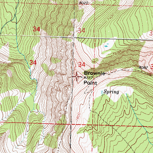 Topographic Map of Brownie Point, MT